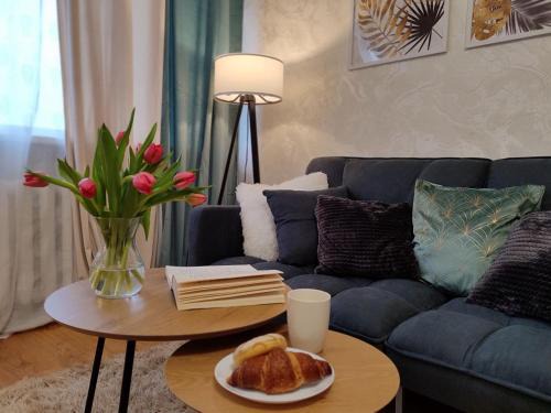 Narva Apartment | Narva Vahtra Apartment
