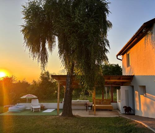 Kaposvar House | Nash-lak