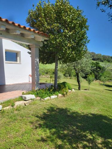 Berchidda Ski Chalet | NASTARRE'