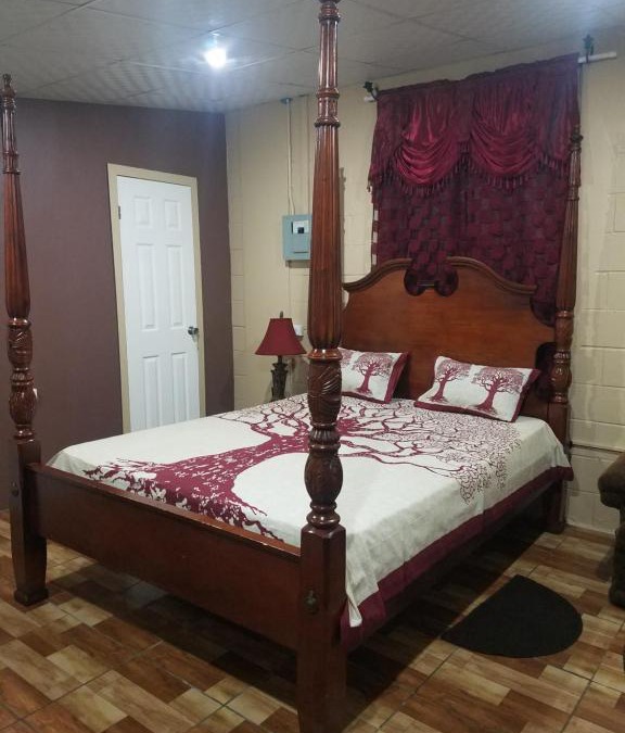 Port of Spain Apartment | Nath's Inn