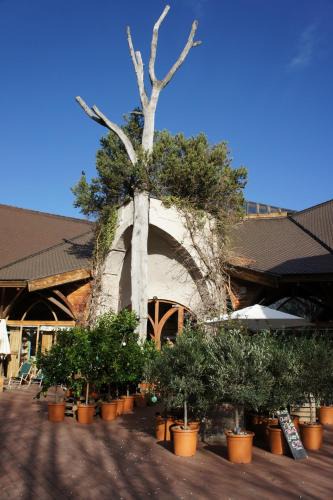 Ueberlingen Hotel | Naturata Hotel