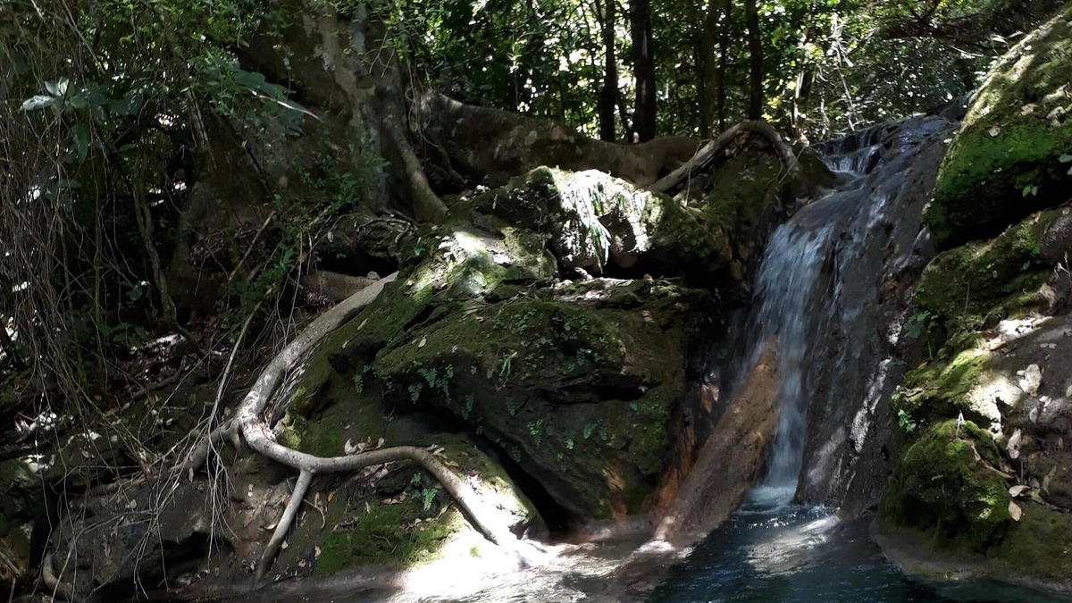 Bodoquena House | Nature and wildlife lovers home / Amantes dda Natureza