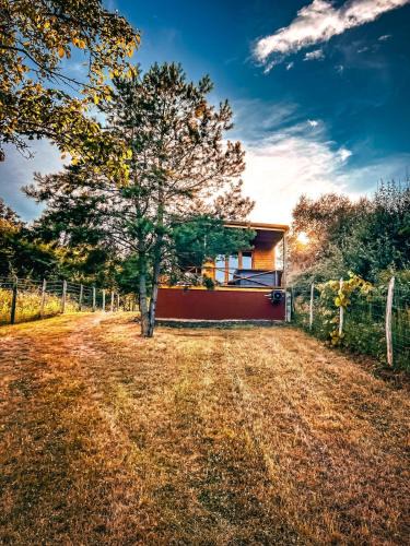 Pusztavacs House | Nature&Chill Treehouses