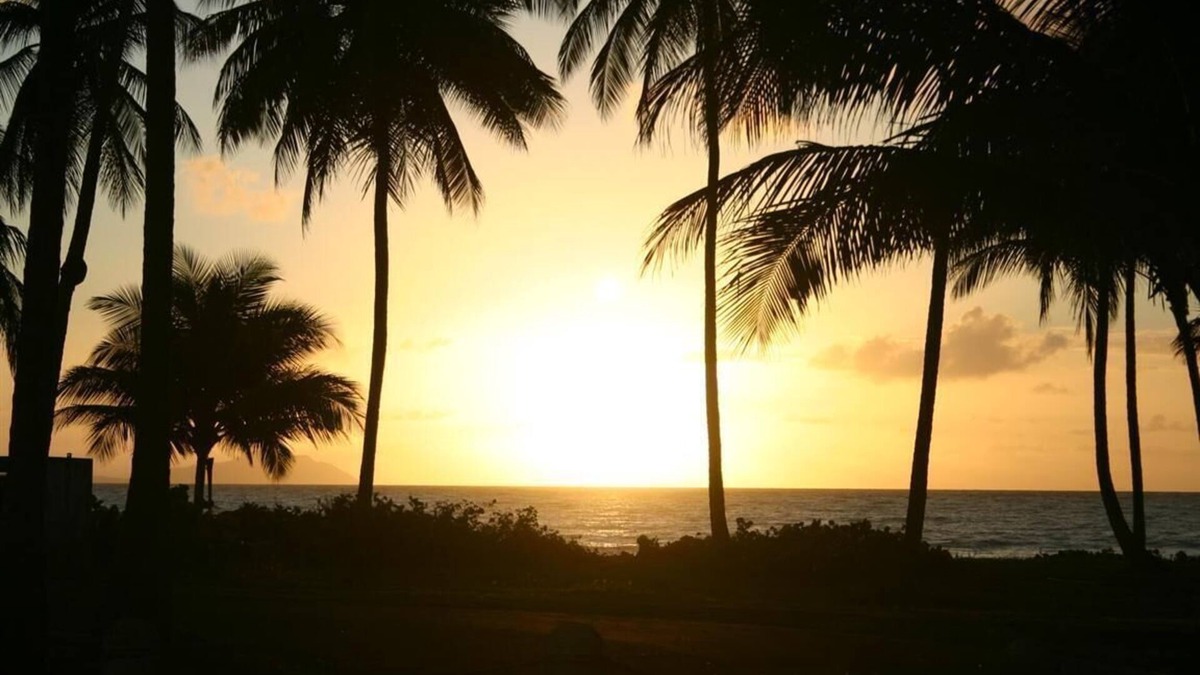 Rio Abajo House | NATURE LOVER'S ESCAPE!-on 3200 acre reserve with miles of a "Cast A Way" beach.