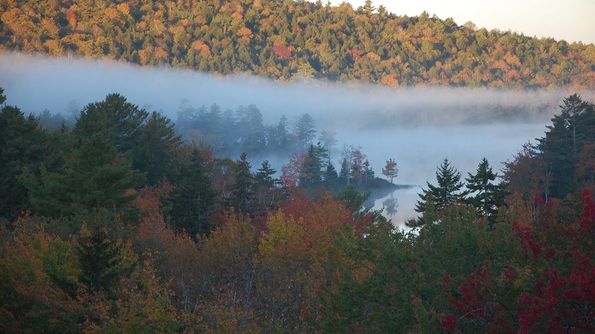 Northport House | Nature Retreat House Surrounded by Lakes/Mountains/Ocean w/ Spectacular Views