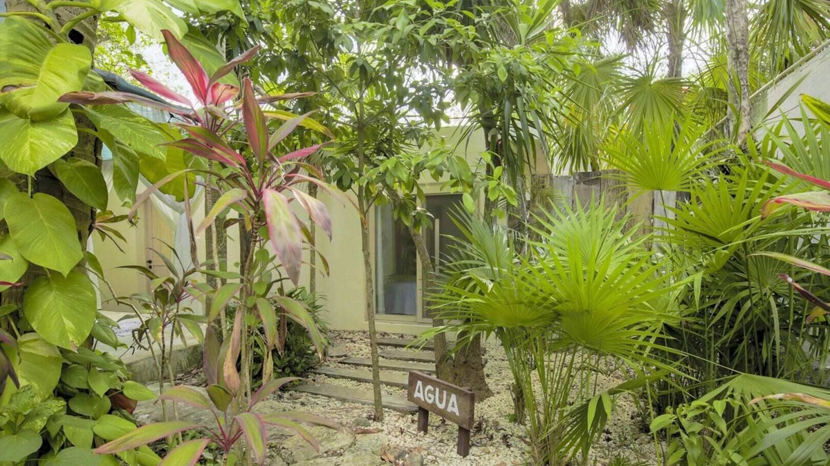 Alfredo V. Bonfil Bed & Breakfast | Nature Retreat l Jungle Hotel in Quintana Roo