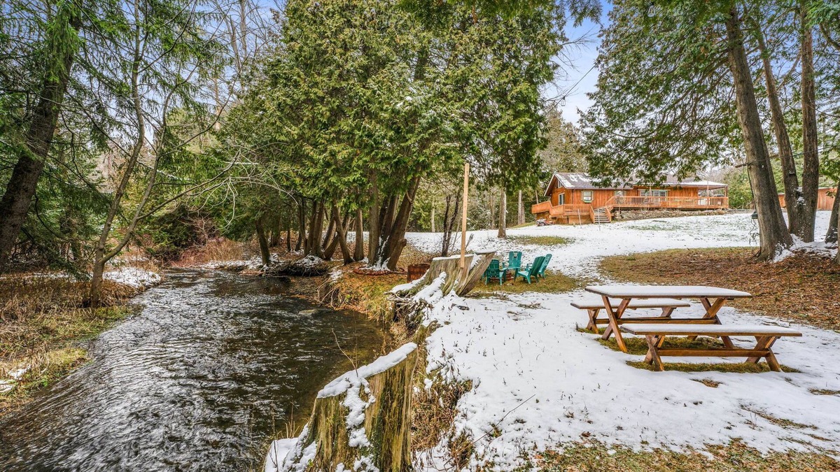 Caledon Cabin | Nature Retreat: Serene water stream, BBQ, Firepit