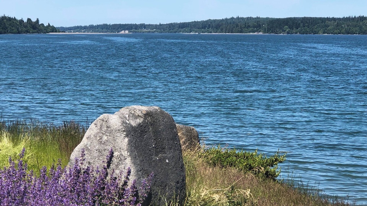 Kingston Cottage | nBeach Access Air Conditioned Modern Cottage At Gateway To Olympic National Park