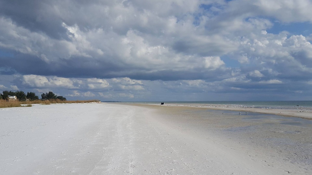 Bayshore Gardens Condo | Near Anna Maria Island Beaches - Olympic-size pool!