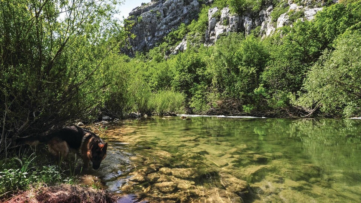 Srijane House | Near the river Cetina awaits you this practical cottage with vegetable garden.
