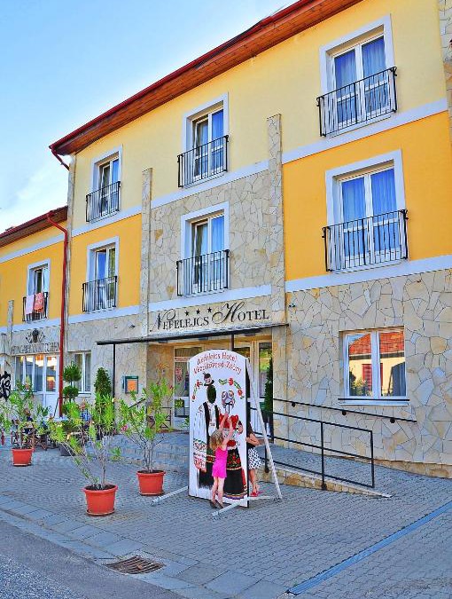 Zsorifurdo Hotel | Nefelejcs Hotel
