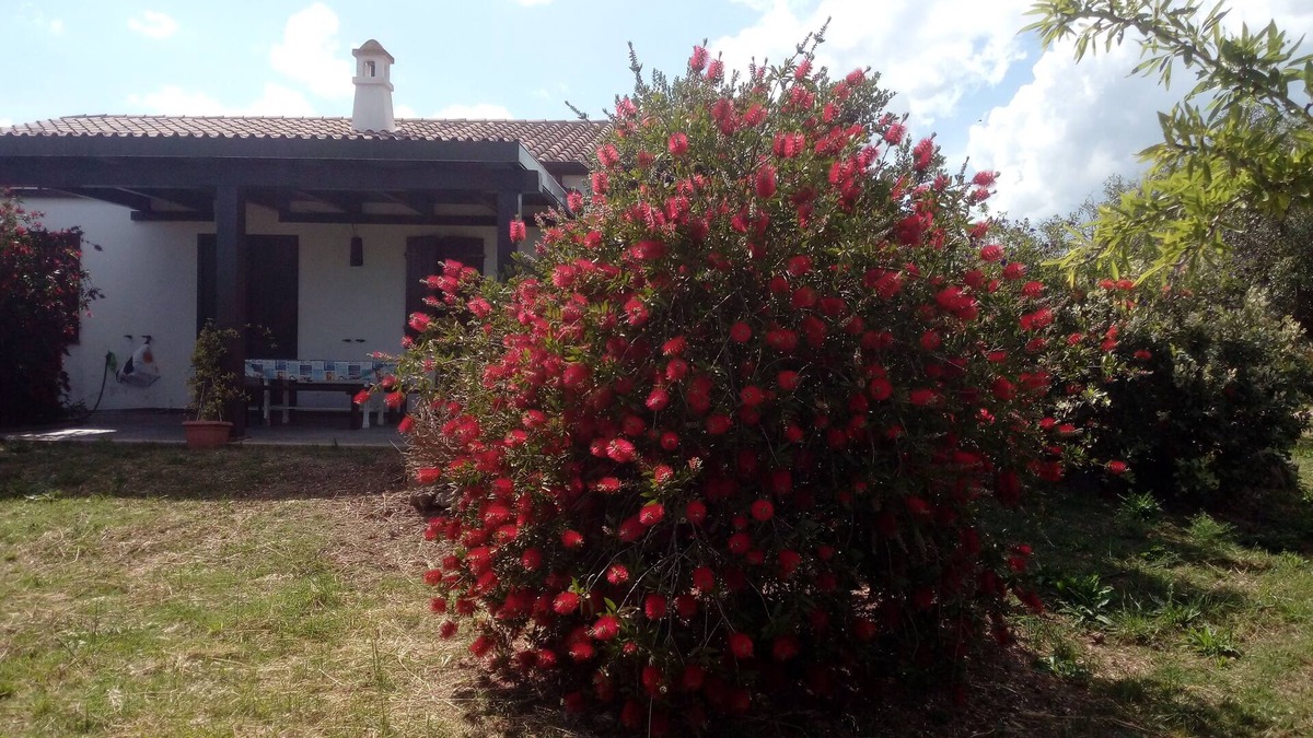 Orosei House | Nerelie House S big garden for playing, wi-fi free!IUN-P2044