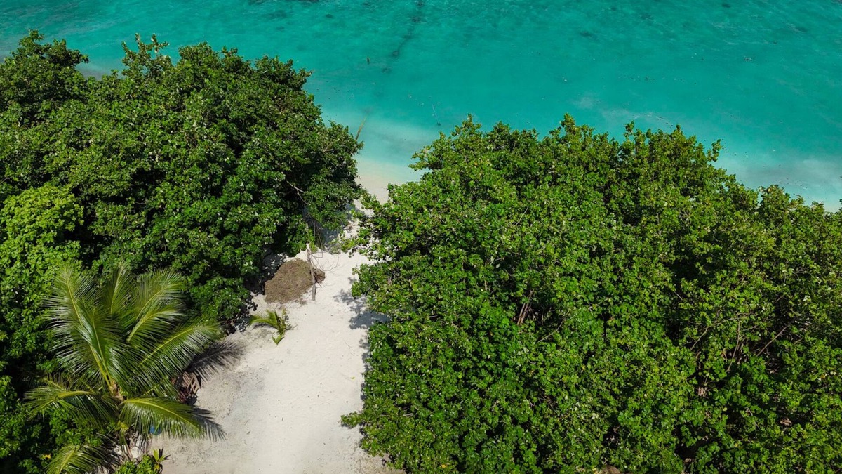 Kamadhoo Hotel | Nest by Hawks Hotels Kamadhoo Baa Atoll