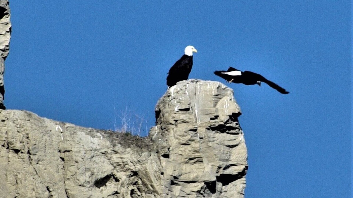 Okanagan-Similkameen House | Nestled adjacent to Adam's Bird Sanctuary - 5 min from the Beach!