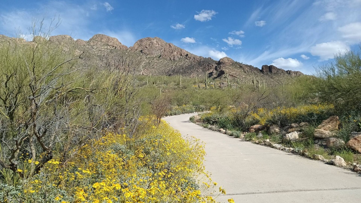 Oro Valley Cottage | Nestled on Pusch Ridge Mountain in Oro Valley with full kitchen