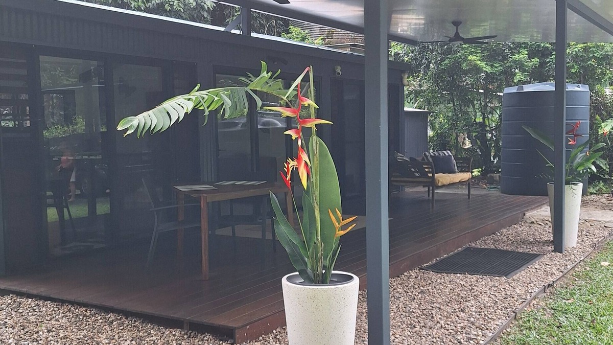 Thornton Beach House | New, 40% off ,beach, rainforest,cassowary, goanna ,beach cafe, king bed, air con
