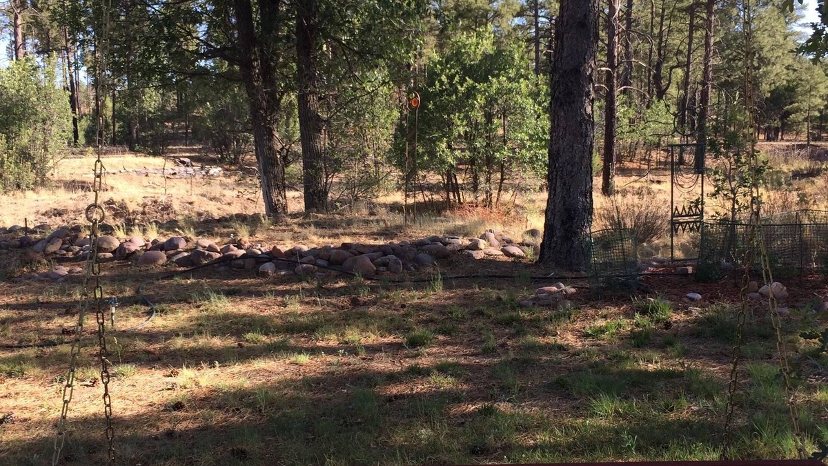 Clay Springs Apartment | New! Artistic Studio Retreat that is Quiet & Relaxing, Bordering National Fores