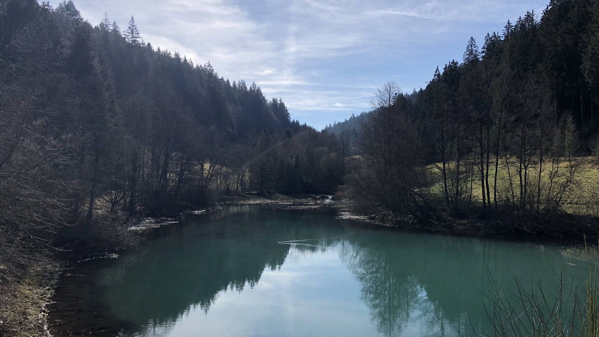 Klosterreichenbach Apartment | New building - apartment with panoramic views