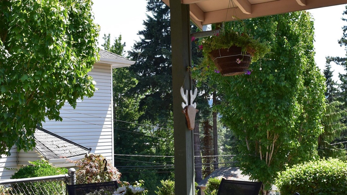 Kenmore Cottage | New Charming Lakeview Cottage in Downtown Kenmore