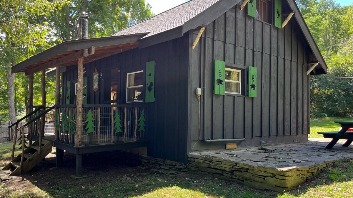 Town of Colchester Cabin | *New* Classic Cozy Catskill Mountain Cabin ~ Wood Stove+Soaking Tub