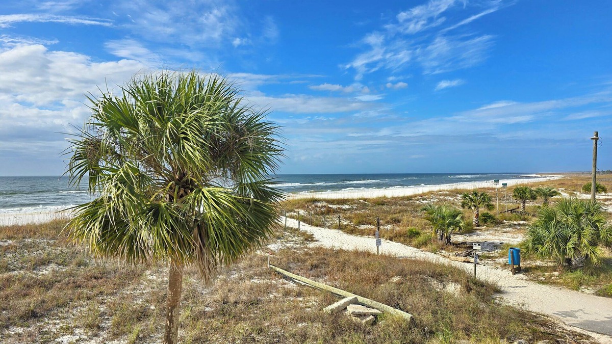 Mexico Beach House | New Construction, Beachfront Views, Multiple Living Areas, Pet-Friendly