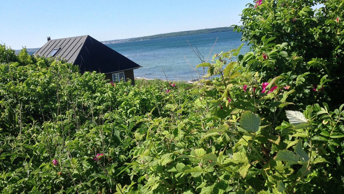 Aabenraa Cottage | New cottage directly to the beach