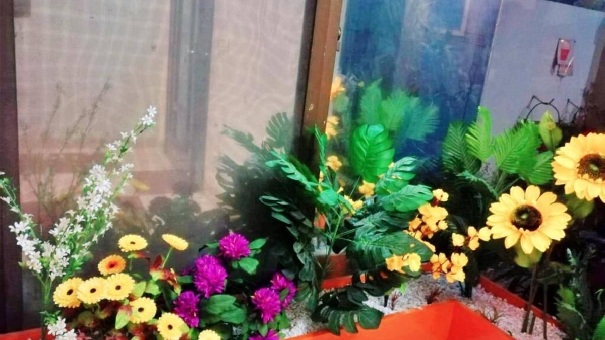 Lahore Hotel | New Doves Inn Hotel