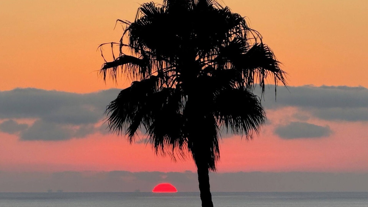 South Laguna Apartment | NEW Gorgeous Studio w AC in Laguna Beach near 1000 Steps