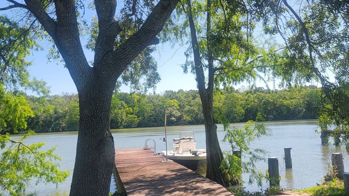 Patterson House | New Guest House on Bayou with Spectacular view