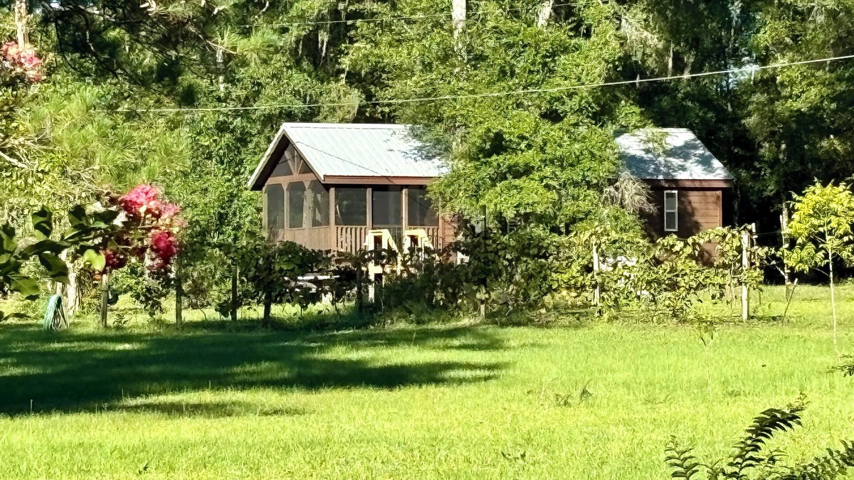 Tallahassee Cabin | New Lakeside Cabin in Tallahassee, secluded & near town