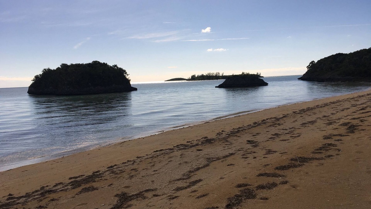 South Palmetto Point House | NEW LISTING SPECIAL RATES Charming 2 Bdrm 2 Bth Cottage Pink Sand Beach 100/Day