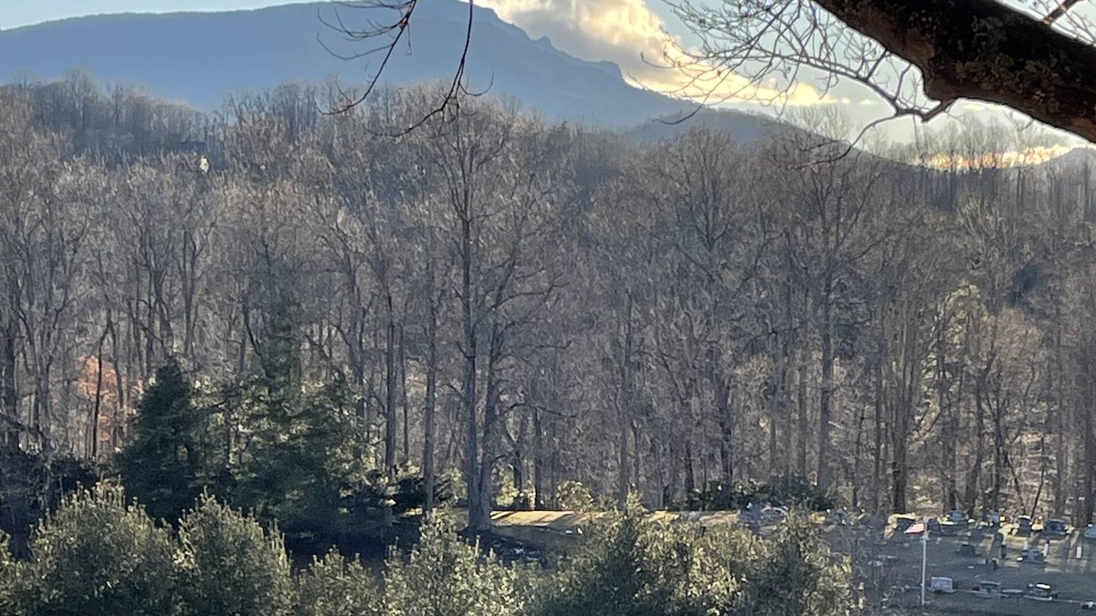 Boone House | New Listing 5 Bedroom getaway near Blueridge Parkway Multi Family Spacious Home