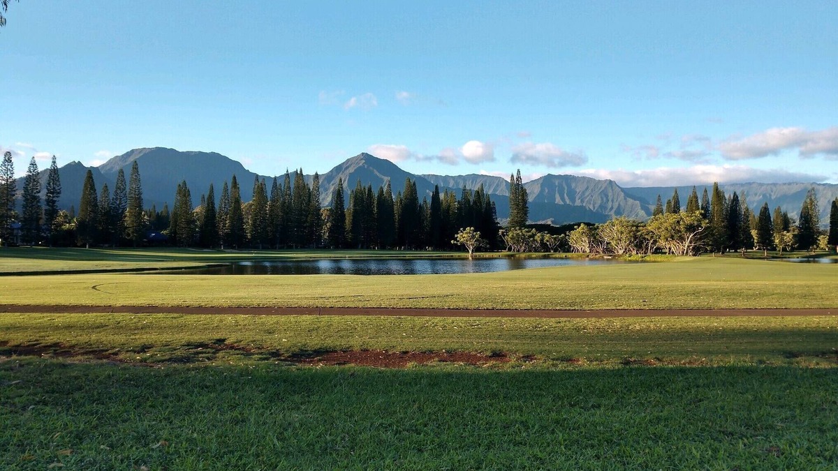 Kaiulani Condo | NEW LISTING - Coveted Princeville Resort COMFY private studio with AC -