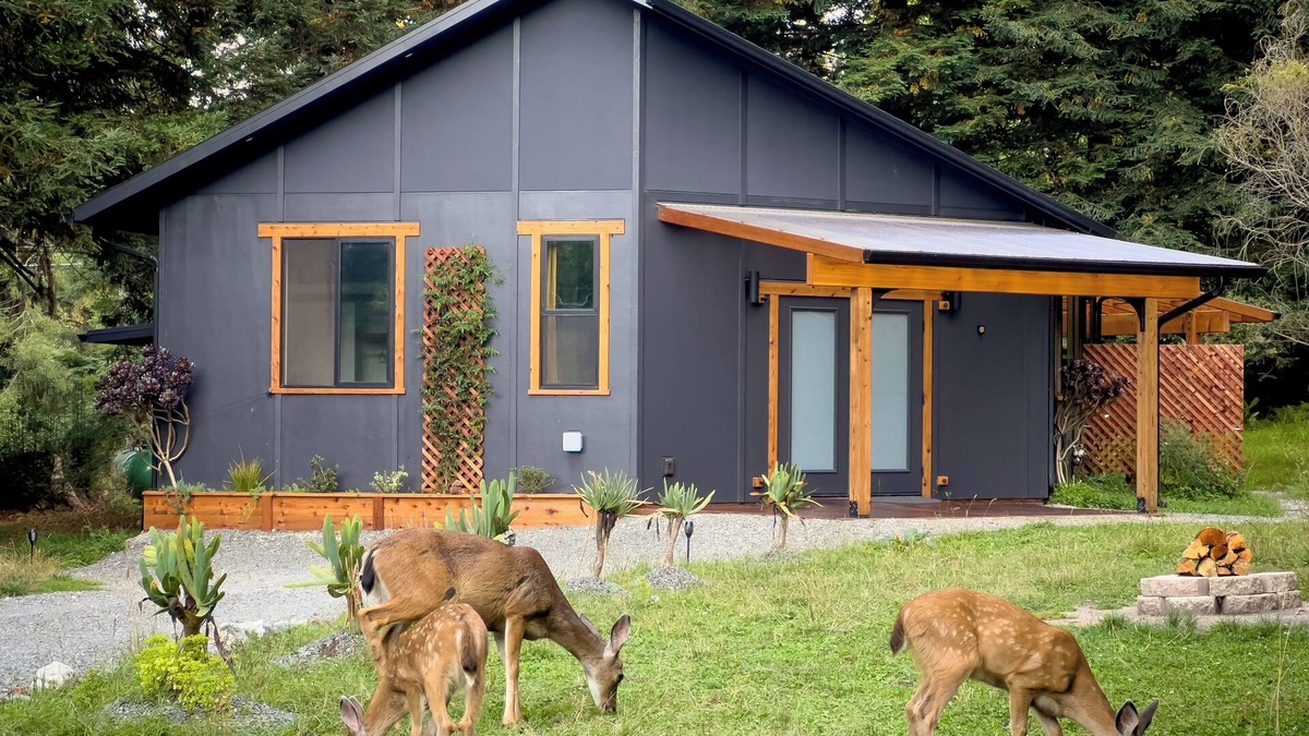 Pacific House | New, modern, close to town, country-feel