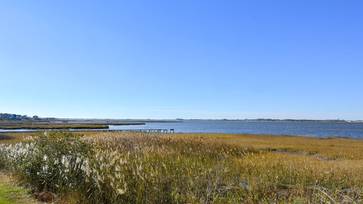Fenwick Island House | *NEW RENTAL* Beautiful bay sunsets, pool, and 1 block to private beach access
