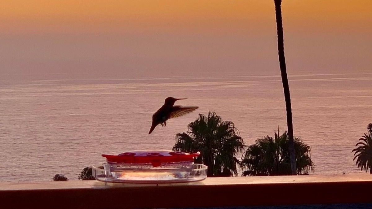Three Arch Bay House | NEW Stunning Ocean Views in Quiet Laguna Beach, 4 Min Walk to Beach-JULY Special
