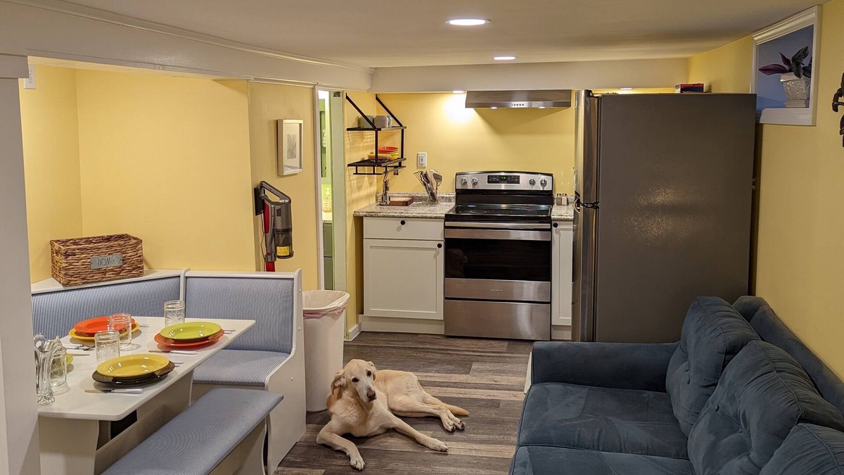 Gansevoort Apartment | NEW! The Birds Nest - No Clean Fee, Pets, WIFI, Coffee & Tea, TV
