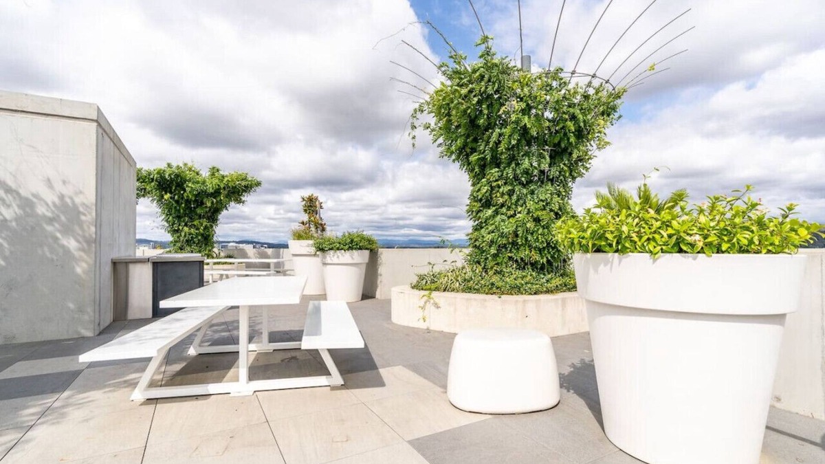 Turner Apartment | New to VRBO: Beautiful Art Apartment near Tram and Shops!