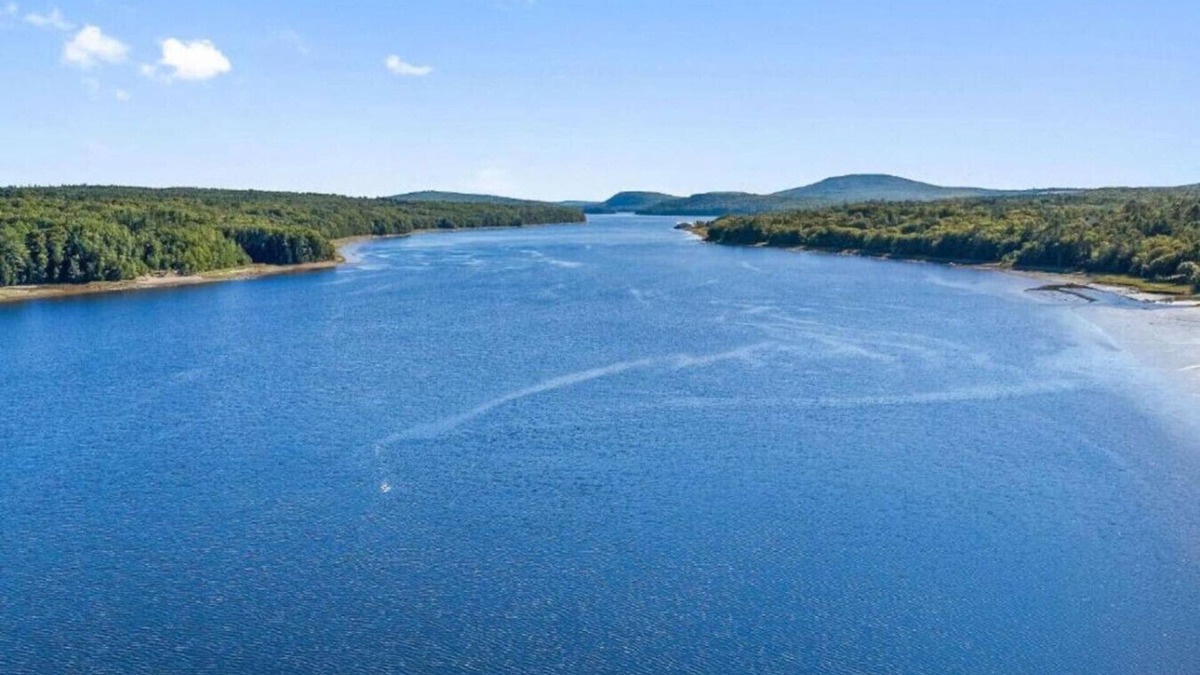Winterport Cottage | New & Trendy - Grand Water View, A/C, Dogs OK, Private, Yard Games, Fire Pit