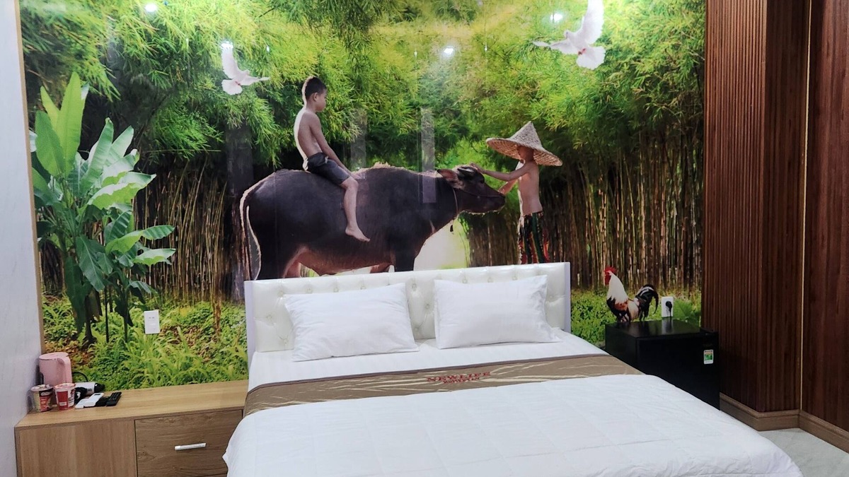 Ho Tram Hotel | Newlife Homestay