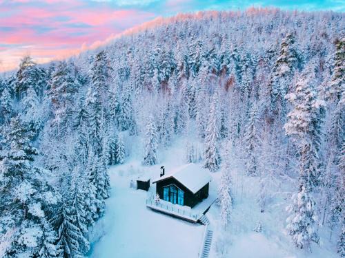 Jarvso House | Newly built cabin with sauna, fireplace and amazing view