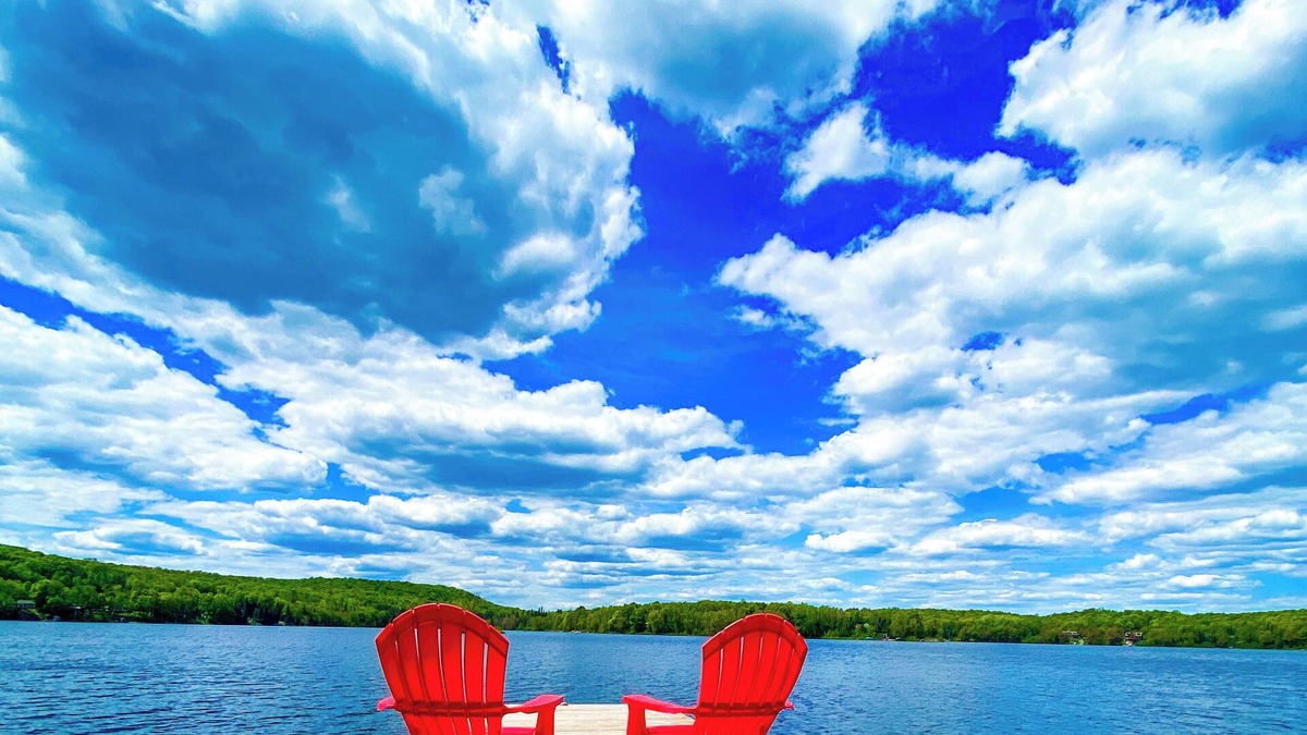 Novar Cottage | Newly Offered: Sandy Beach Kayaks SUPs Canoes Firepit Beautiful Indoor Spaces
