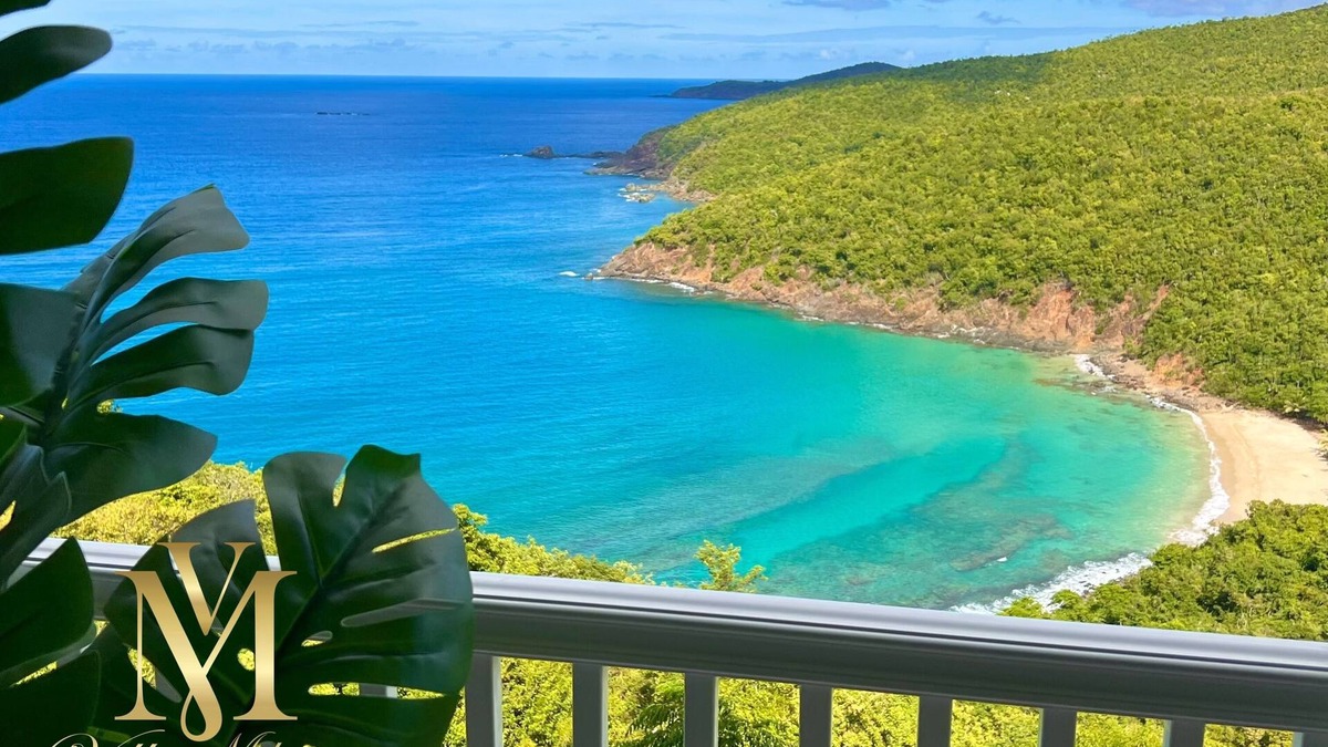 Estate Hope Villa | NEWLY RENOVATED Private Beach Views, Luxury Villa Milagro - Villa 4