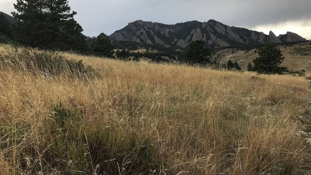 South Boulder Apartment | Newly Renovated Private Access 1 bedroom unit