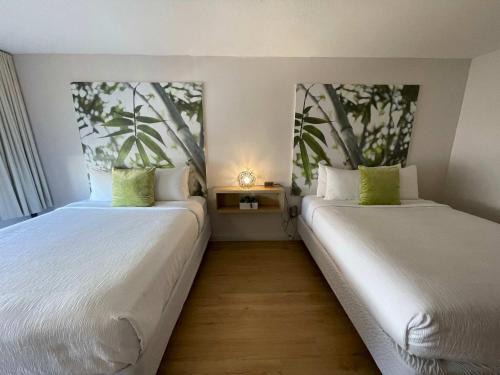 Kissimmee Hotel | Newly renovated room in cozy hotel near Disney 2