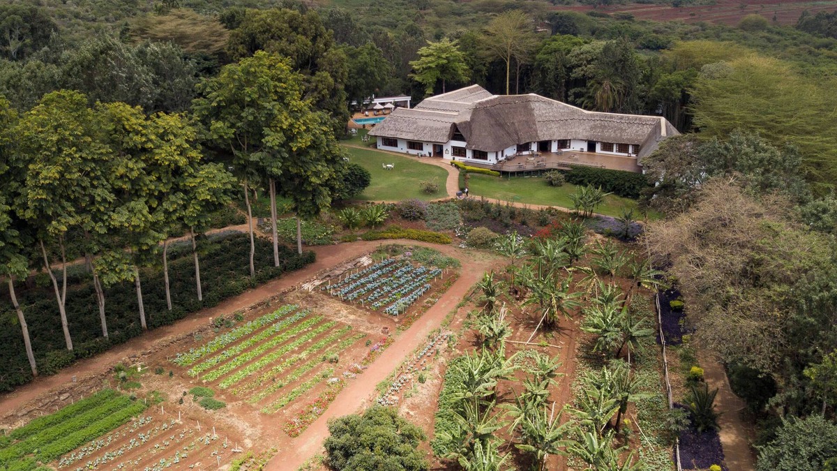 Karatu Cabin | Ngorongoro Farm House