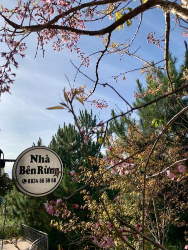 Lac Duong Cabin | Nhà bên rừng