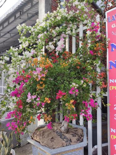 Ong Lang Hotel | Nhà Nghỉ Vườn Oải Hương LAVENDER GARDEN GUEST HOUSE