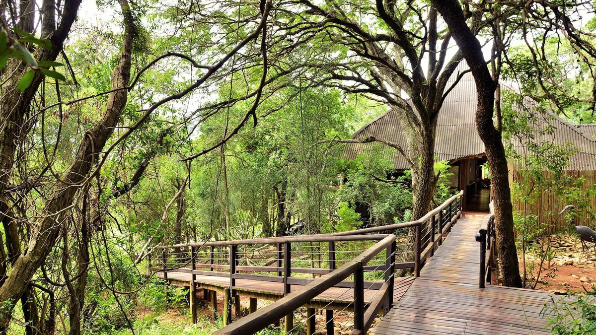 KwaNibela Cabin | Nibela Lake Lodge by Dream Resorts