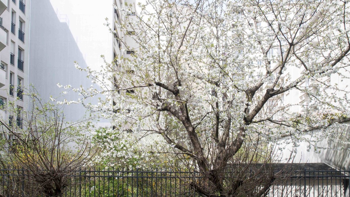 Saint-Fargeau Apartment | Nice 48 M2 With Garden Balcony And Wifi In Paris
